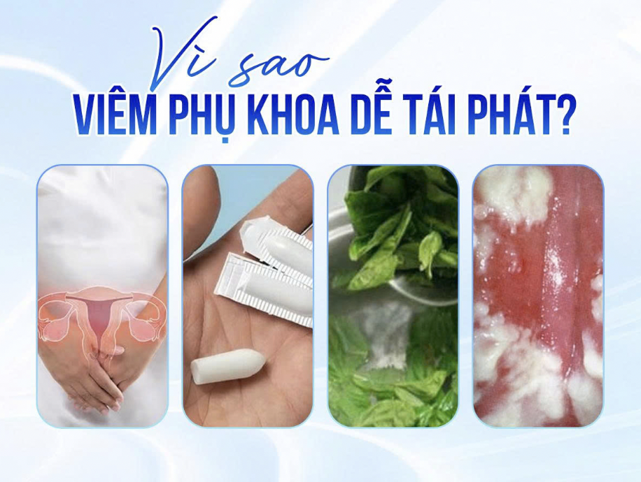 vpk1-1781519400.png
