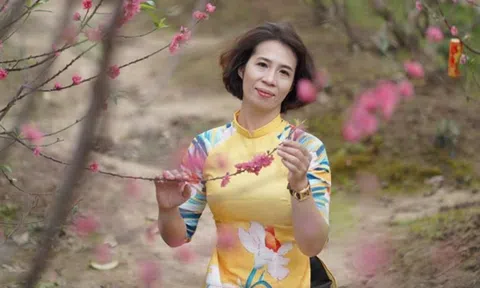 Digibiz Và YouTube Phan Anh_Liora - Hệ Sinh Thái Kinh Doanh Số Của Luật Sư Phan Hồng Anh