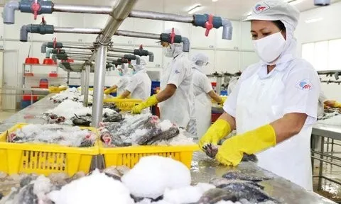 Tp.HCM: Hơn 96% người lao động trở lại làm việc sau Tết