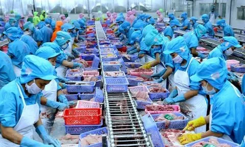 Doanh nghiệp thủy sản "vượt bão Covid-19", nỗ lực tạo kỳ tích trong năm 2022