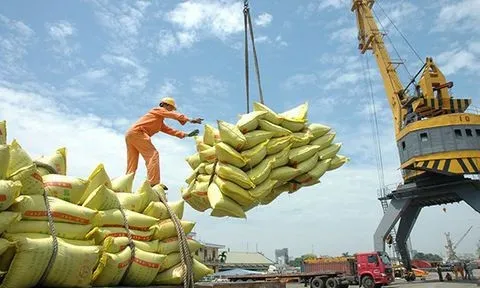 Xuất khẩu gạo tăng mạnh tháng đầu năm 2022: Dự báo lạc quan