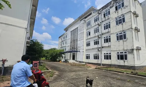 Diễn biến mới vụ 1 bệnh viện tâm thần ở TP HCM bỏ hoang nhiều năm