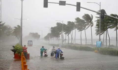 Bộ Y tế chỉ đạo ứng phó, phòng chống dịch bệnh sau bão