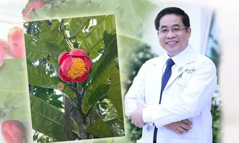 Tên PGS-TS-BS Nguyễn Hoàng Bắc, Giám đốc Bệnh viện Đại học Y Dược TP HCM, được đặt cho loài hoa mới