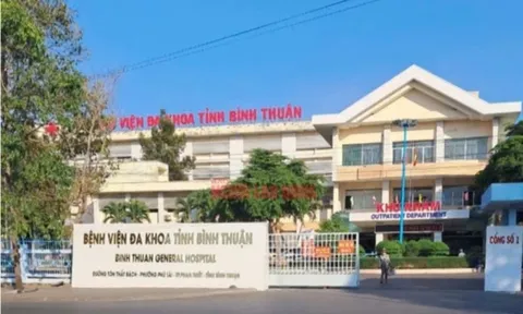 Ăn cá nóc, 4 người trong một gia đình nhập viện cấp cứu