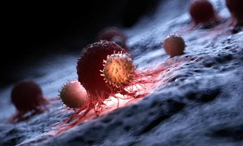 Đột phá: Dùng gene virus lồng trong vi khuẩn tiêu diệt ung thư