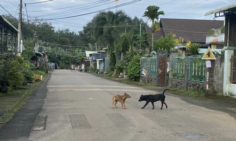 Nam thanh niên không uống được nước, không chịu được tiếng ồn và tử vong sau 20 ngày bị chó cắn