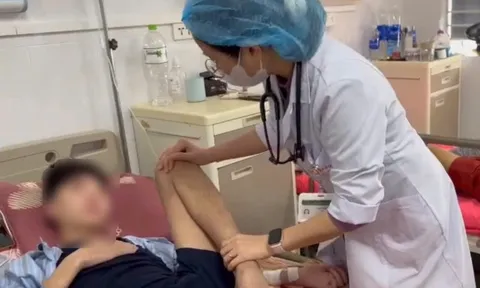 Vết thương do heo cắn khiến bé trai 14 tuổi nguy kịch