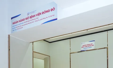 Thêm một ngân hàng mô được cấp phép hoạt động