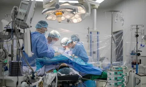 Sinh viên hiến gan cứu thầy