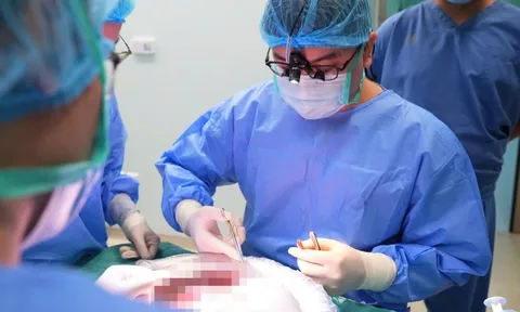 Người phụ nữ Hà Nội hồi sinh nhờ lá gan hiến tặng từ người chết não ở TPHCM