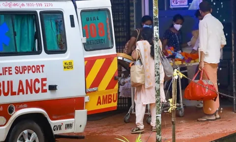 WHO, CDC nói về virus Nipah: Ai có nguy cơ, nguy hiểm đến đâu?