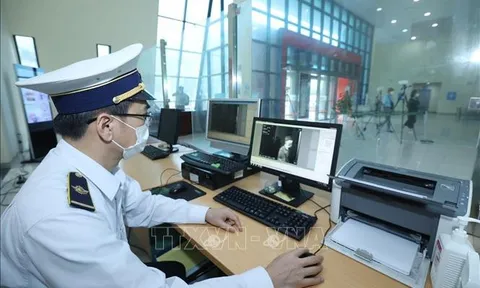 Virus Nipah xuất hiện trở lại, Việt Nam siết chặt phòng dịch