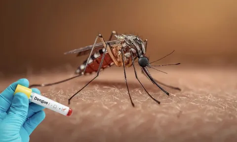 Nam sinh nguy kịch tại lớp học vì sốt xuất huyết do muỗi đốt