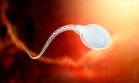 Hay dùng đồ nhựa "1 lần", quý ông có thể gặp nguy