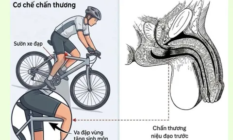 Cảnh báo chấn thương tiềm ẩn nguy hiểm ở trẻ em sau tai nạn tưởng chừng nhẹ
