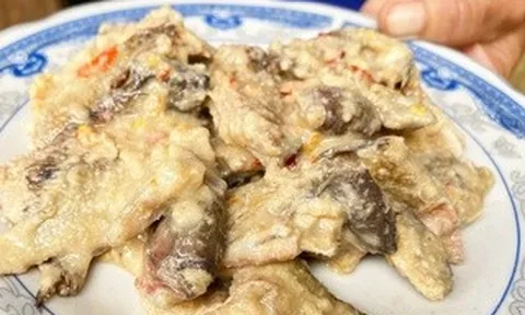 Đà Nẵng xác minh vụ nghi ngộ độc sau khi ăn cá ủ chua