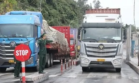 Đề xuất kéo dài tạm ngưng Nghị định 46, Nghị quyết 66.13