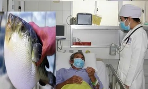 3 người ở Cần Thơ gặp nguy hiểm sau khi ăn canh chua cá nóc