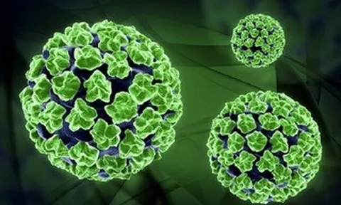 Tay chân miệng tăng nhanh, cảnh báo chủng EV71 độc lực cao