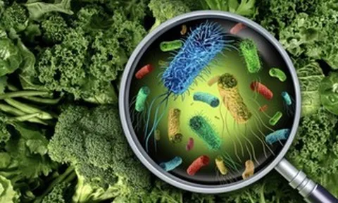 Vụ hàng chục học sinh tiểu học sốt, đau bụng: Nguyên nhân ban đầu hé lộ điều gì?