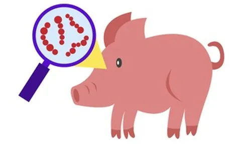 Ăn thịt heo chưa nấu chín, người đàn ông ở TPHCM nguy kịch