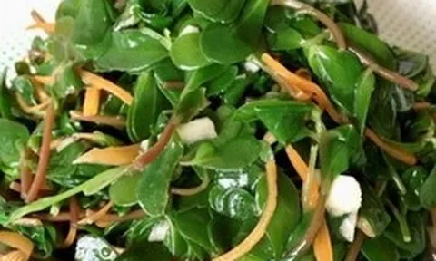Đừng coi là cỏ dại, loại rau mọc đầy lối đi này là "vua canxi", đem trộn nộm hay nấu canh đều ngon hơn thịt