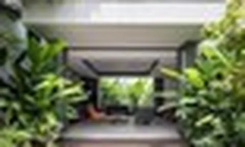 5 loại cây không nên trồng trước cửa nhà: Cây càng xanh tốt nhà càng suy