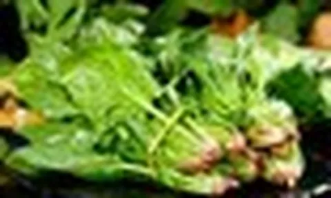 Cảnh báo: Thực phẩm chứa axit oxalic gấp 3 lần rau bina, ăn nhiều có thể gây hại sức khỏe
