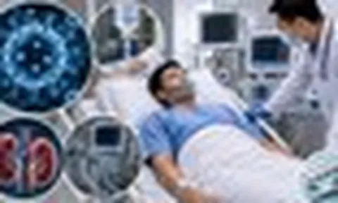 Nhiễm virus Hanta từ chuột: Nguy cơ suy đa tạng và những lưu ý điều trị sống còn