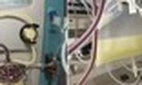 Bé gái 12 tuổi cấp cứu trong tình trạng máu trắng đục, nhớt như mỡ lợn, bác sĩ trách bố mẹ: Chiều kiểu hại con!