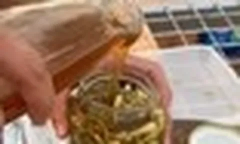 5 điều cấm kỵ khi dùng mật ong tưởng "biết rồi, khổ lắm, nói mãi" nhưng rất nhiều người Việt vẫn làm sai