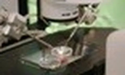 Nhiều cặp vợ chồng phải dừng “tìm con” vì áp lực kinh tế, tinh thần suy sụp