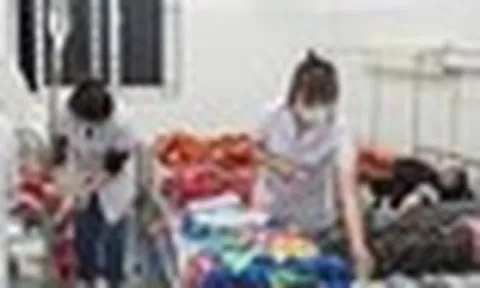 Học sinh nhập viện sau khi ăn quả lạ hái ven rừng, Bộ Y tế vào cuộc
