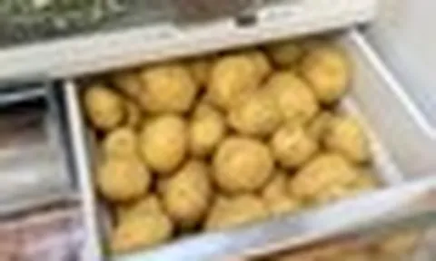 Nói thật: 3 loại rau củ không để trong tủ lạnh, nhanh hỏng còn dễ sinh ra chất có hại