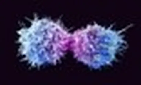 Loại virus âm thầm có thể gây ung thư ở cả nam và nữ