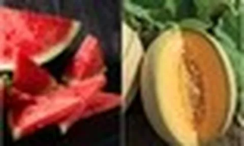 7 loại trái cây, rau củ bù nước, giải nhiệt cực tốt trong mùa hè