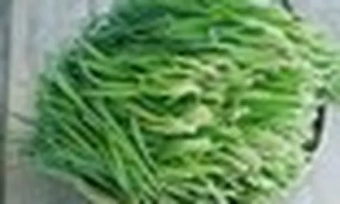 Những tác dụng của lá hẹ với sức khỏe ít người biết