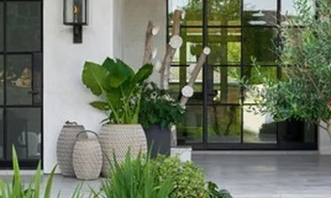 Lời khuyên dành cho những gia đình trồng cây trước nhà