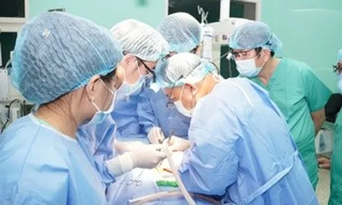 Từ một người hiến tạng, 6 bệnh nhân được hồi sinh
