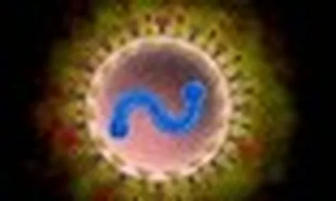 Bác sĩ Bạch Mai cảnh báo: 1 loại virus nhiều người tưởng chỉ trẻ em mới mắc, người già nhiễm dễ viêm phổi, suy hô hấp
