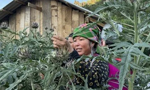 Xứng tầm y học Việt