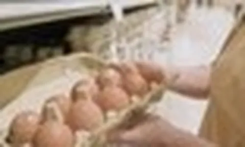 Người phụ nữ 33 tuổi ngày nào cũng ăn trứng suốt 5 tháng, đi khám sức khỏe bác sĩ bất ngờ hỏi: "Chị đã làm gì vậy?"
