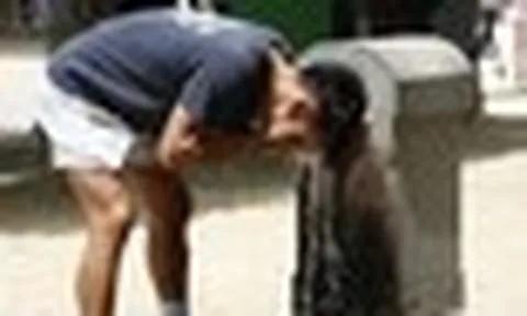 Nghiên cứu mới: Nắng nóng có thể làm máu cô đặc, tăng nguy cơ đột quỵ