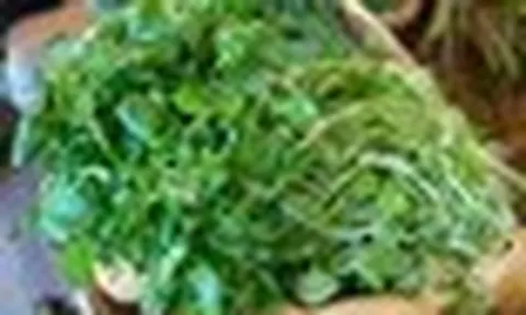 Việt Nam có 3 loại rau "đại bổ": Loại thứ nhất gây bất ngờ vì có nhiều omega-3