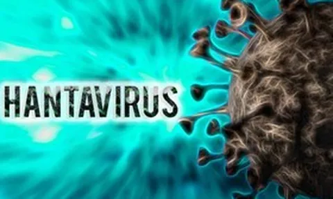 Bộ Y tế thông tin mới nhất về bệnh do virus Hanta