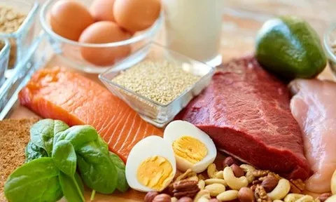 Protein thực vật hay động vật có lợi hơn cho cơ bắp và sức khỏe?