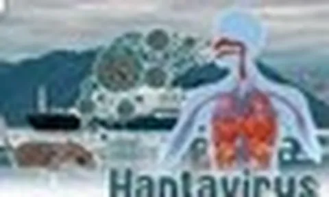Bộ Y tế lên tiếng về dịch bệnh do virus Hanta
