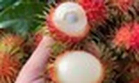 5 loại quả đi chợ nên mua