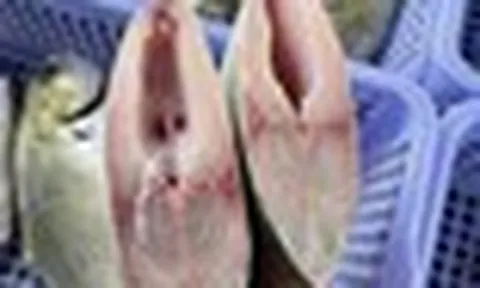3 loại cá nhiều thịt ít xương, đang vào "mùa vàng" ở chợ